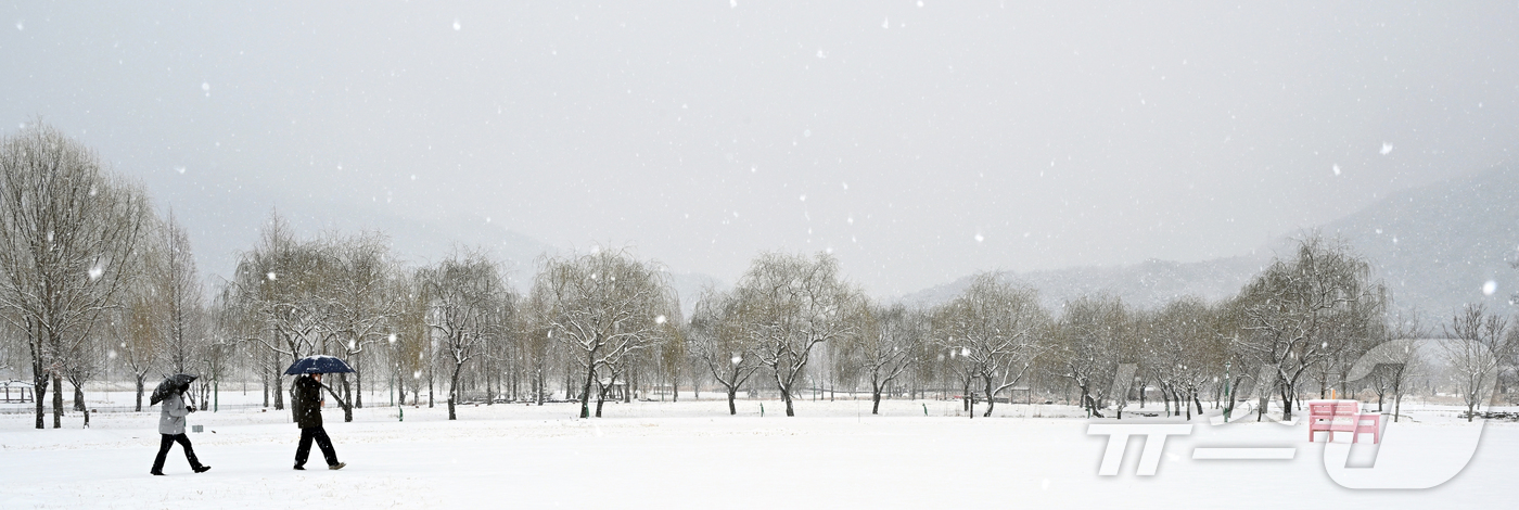 (서울=뉴스1) = 4일 대설주의보가 내려진 경남 거창군 남상면 거창창포원에 많은 눈이 내리고 있다. (거창군 제공. 재판매 및 DB 금지)  2026.2.24/뉴스1