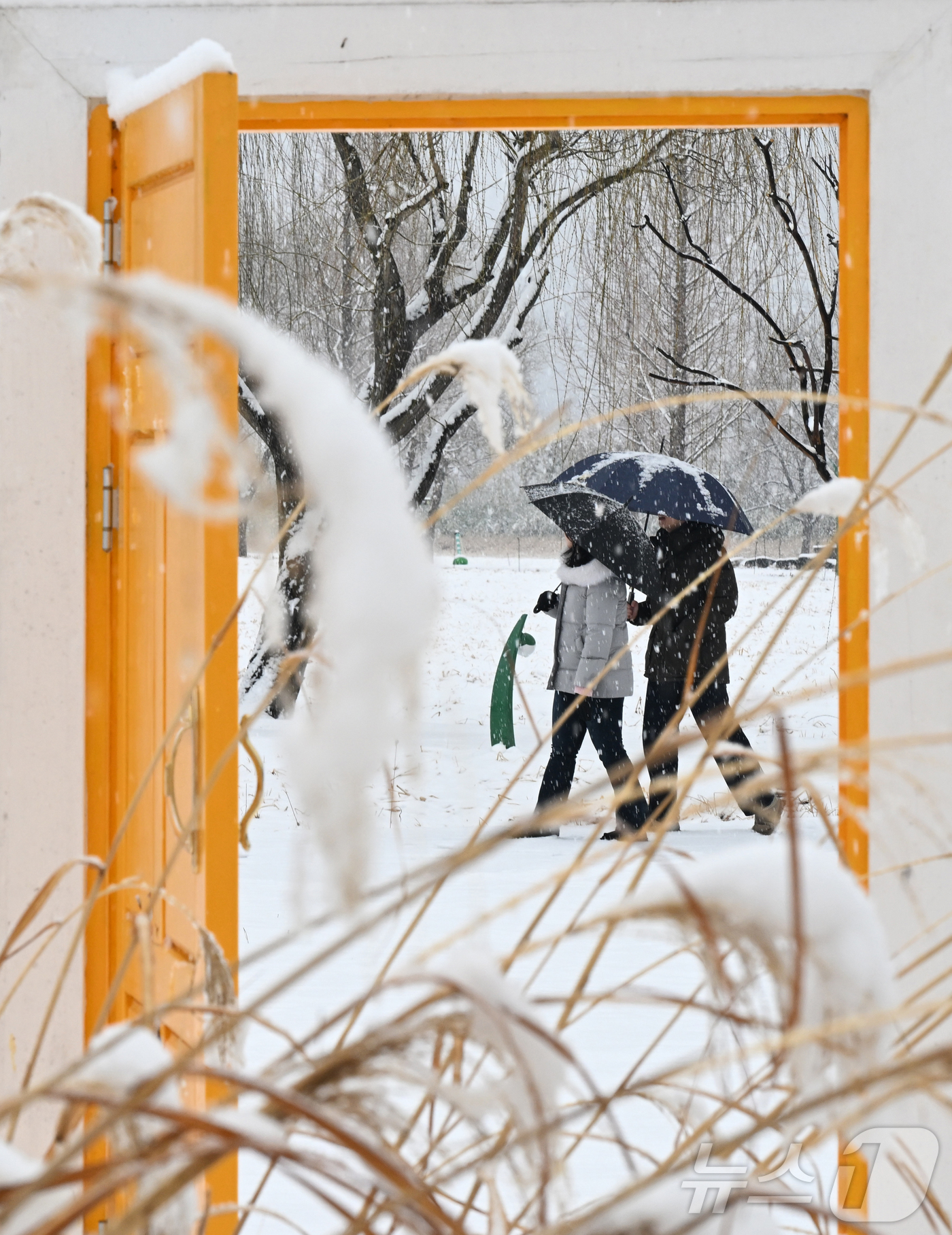 (서울=뉴스1) = 4일 대설주의보가 내려진 경남 거창군 남상면 거창창포원에 많은 눈이 내리고 있다. (거창군 제공. 재판매 및 DB 금지) 2026.2.24/뉴스1