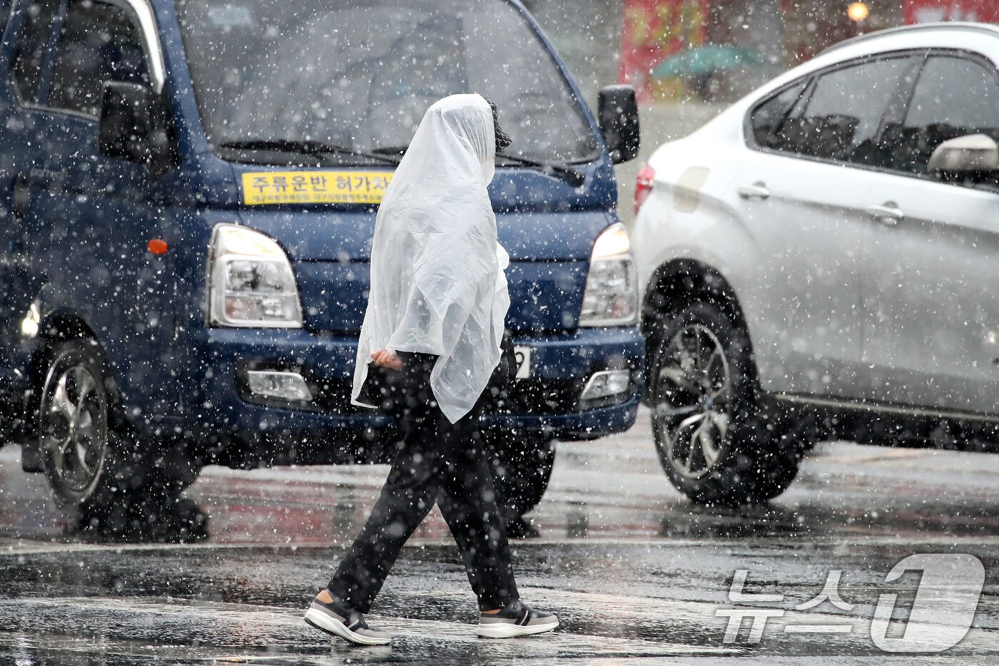 본문 이미지 - 24일 오후 대구 수성구 대구은행네거리 인근에 갑작스레 많은 눈이 내리자, 우산을 준비하지 못한 시민이 비닐로 몸을 가린 채 발걸음을 재촉하고 있다. 2026.2.24 ⓒ 뉴스1 공정식 기자