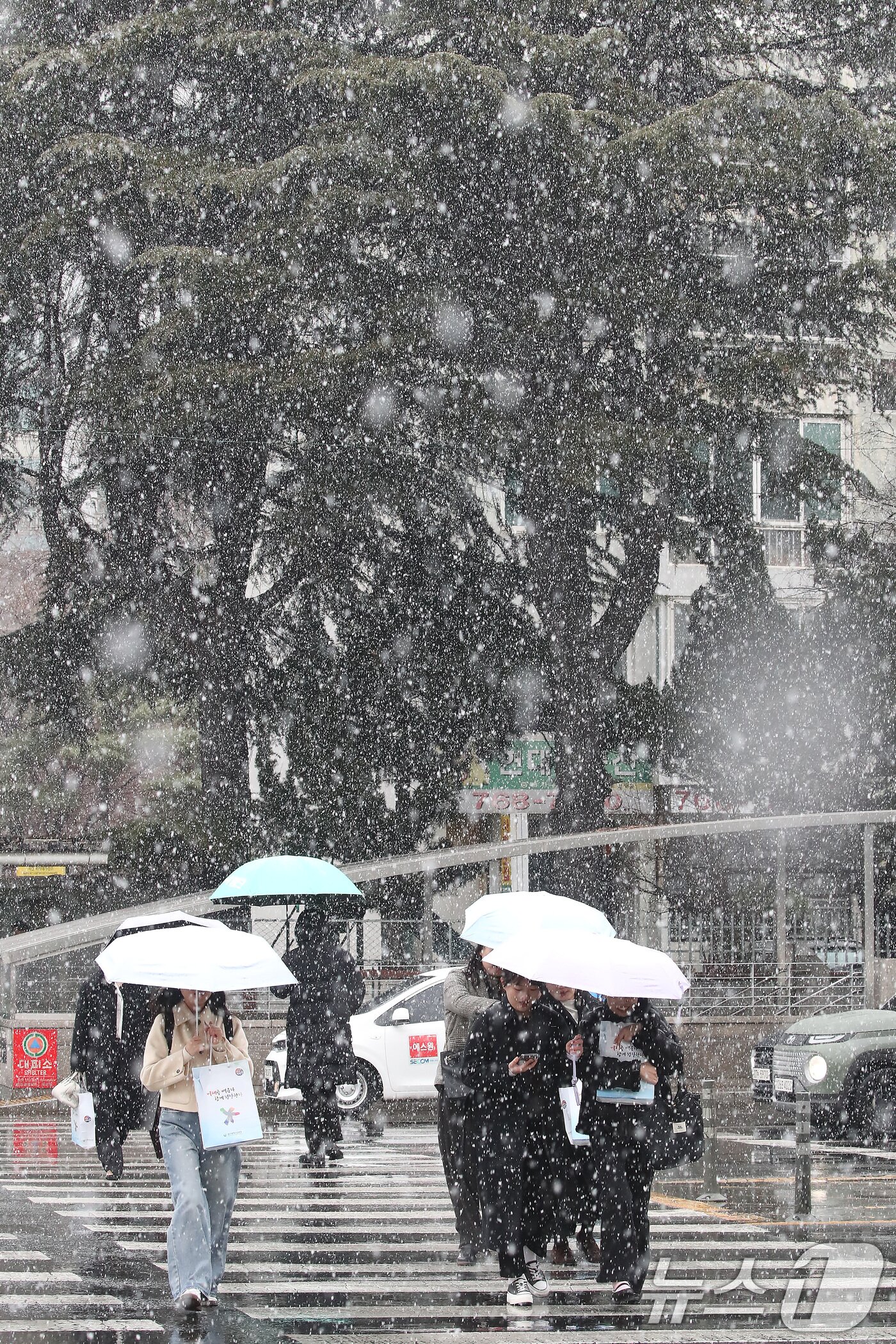 본문 이미지 - 24일 오후 대구 수성구 대구은행네거리 인근에 갑작스레 많은 눈이 내리자, 시민들이 우산을 펼쳐 눈을 피하며 발걸음을 재촉하고 있다. 2026.2.24 ⓒ 뉴스1 공정식 기자