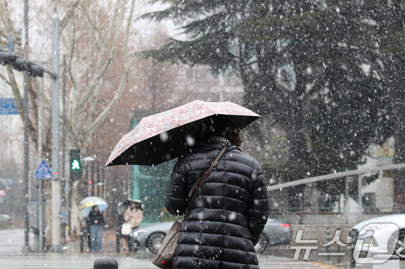 (대구=뉴스1) 공정식 기자 = 24일 오후 대구 수성구 대구은행네거리 인근에 갑작스레 많은 눈이 내리자, 시민들이 우산을 펼쳐 눈을 피하며 발걸음을 재촉하고 있다. 2026.2. …