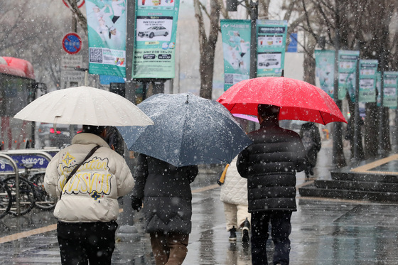 대구 곳곳에 많은 눈