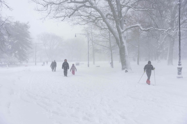 [포토] 동네를 스키로…눈보라 속의 뉴욕시