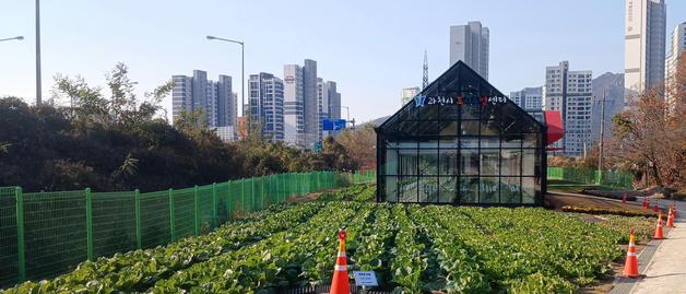 과천시, 갈현동 '도시농업 텃밭' 분양자 모집…3월6일까지 신청