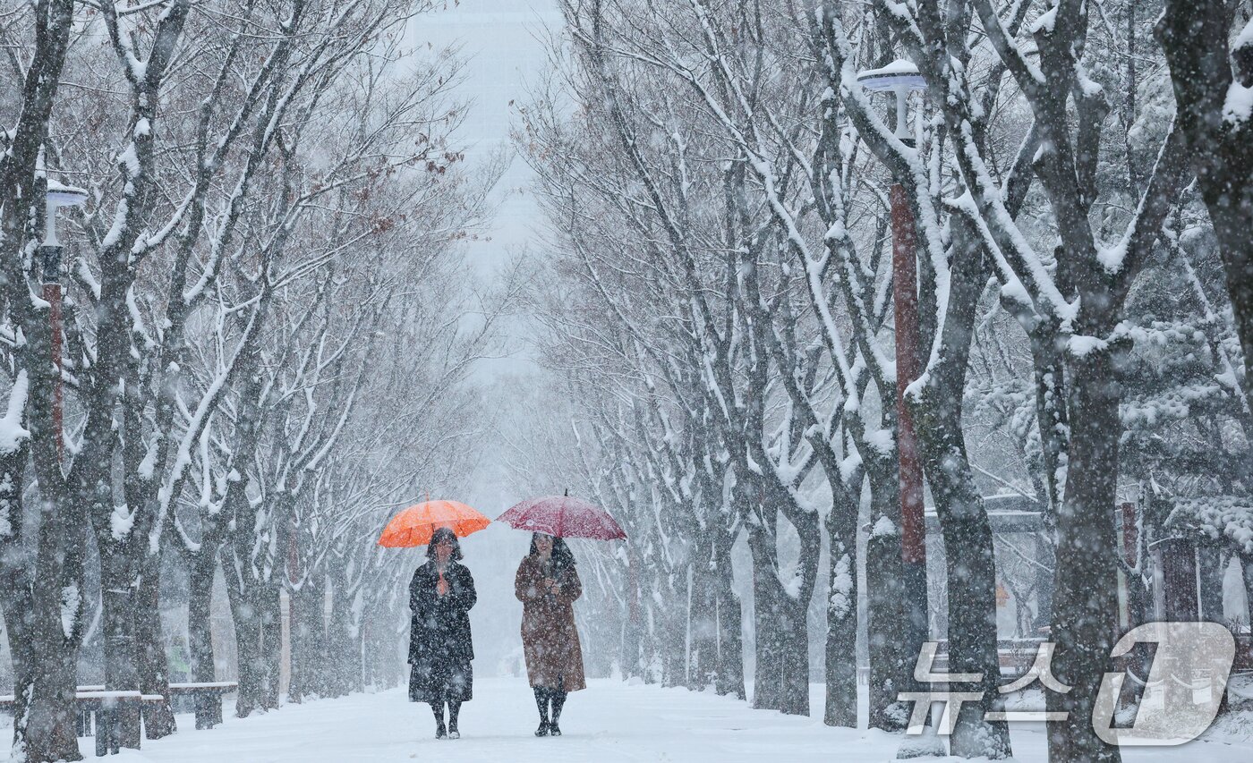 본문 이미지 - 대전과 충청지역 곳곳에 대설주의보가 발효된 24일 오전 대전 서구 보라매공원에서 시민들이 우산을 쓰고 지나고 있다. 2026.2.24 ⓒ 뉴스1 김기태 기자