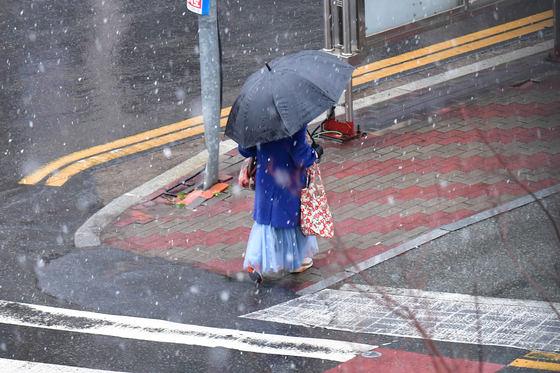전국 곳곳 대설특보, 산불 경남에도 많은 눈…눈길 사고 잇달아(종합)