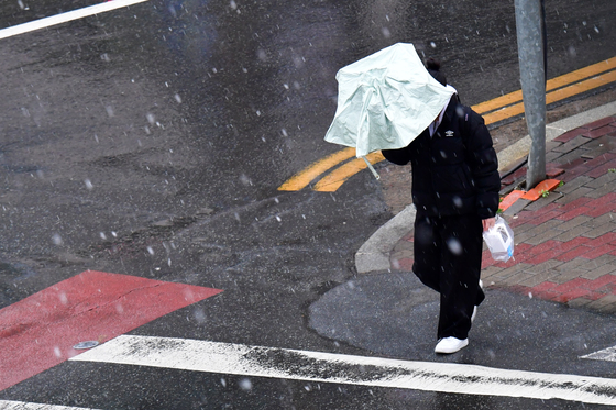 내일 오전 강원·남부·제주에 최대 20㎜ 비…한낮 최고 16도 '포근'