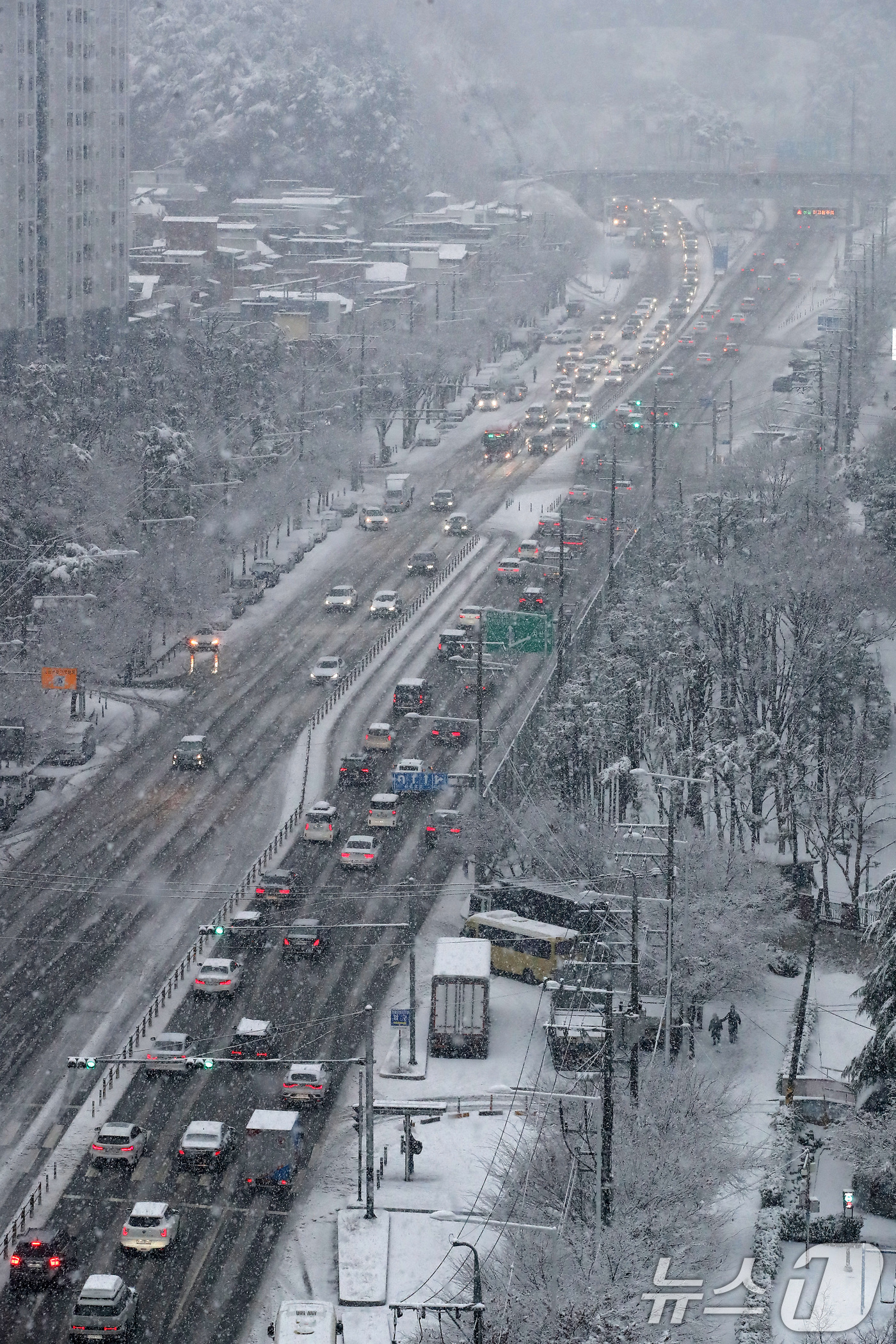 (대구=뉴스1) 공정식 기자 = 24일 오후 대구 수성구 범안로 앞산터널 방면 차량이 함박눈에 갇혀 정체를 빚고 있다. 2026.2.24/뉴스1