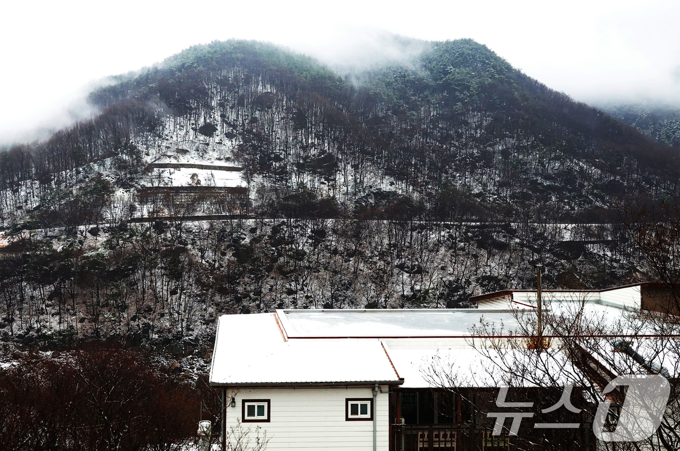 (서울=뉴스1) = 24일 경남 함양군 마천면 일원에서 발생한 산불이 진화가 완료된 가운데 검게 탄 산자락에 눈이 내리고 있다. (함양군 제공. 재판매 및 DB 금지) 2026.2 …