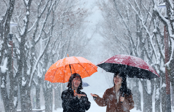 봄의 문턱에서 내리는 눈