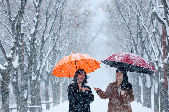 함박눈이 소복소복