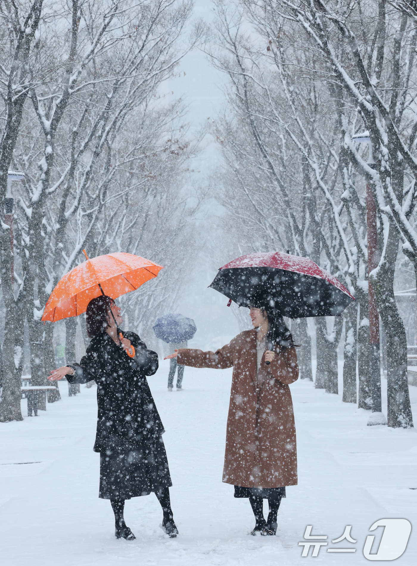 (대전=뉴스1) 김기태 기자 = 대전과 충청지역 곳곳에 대설주의보가 발효된 24일 오전 대전 서구 보라매공원에서 시민들이 우산을 쓰고 지나고 있다.  2026.2.24/뉴스1