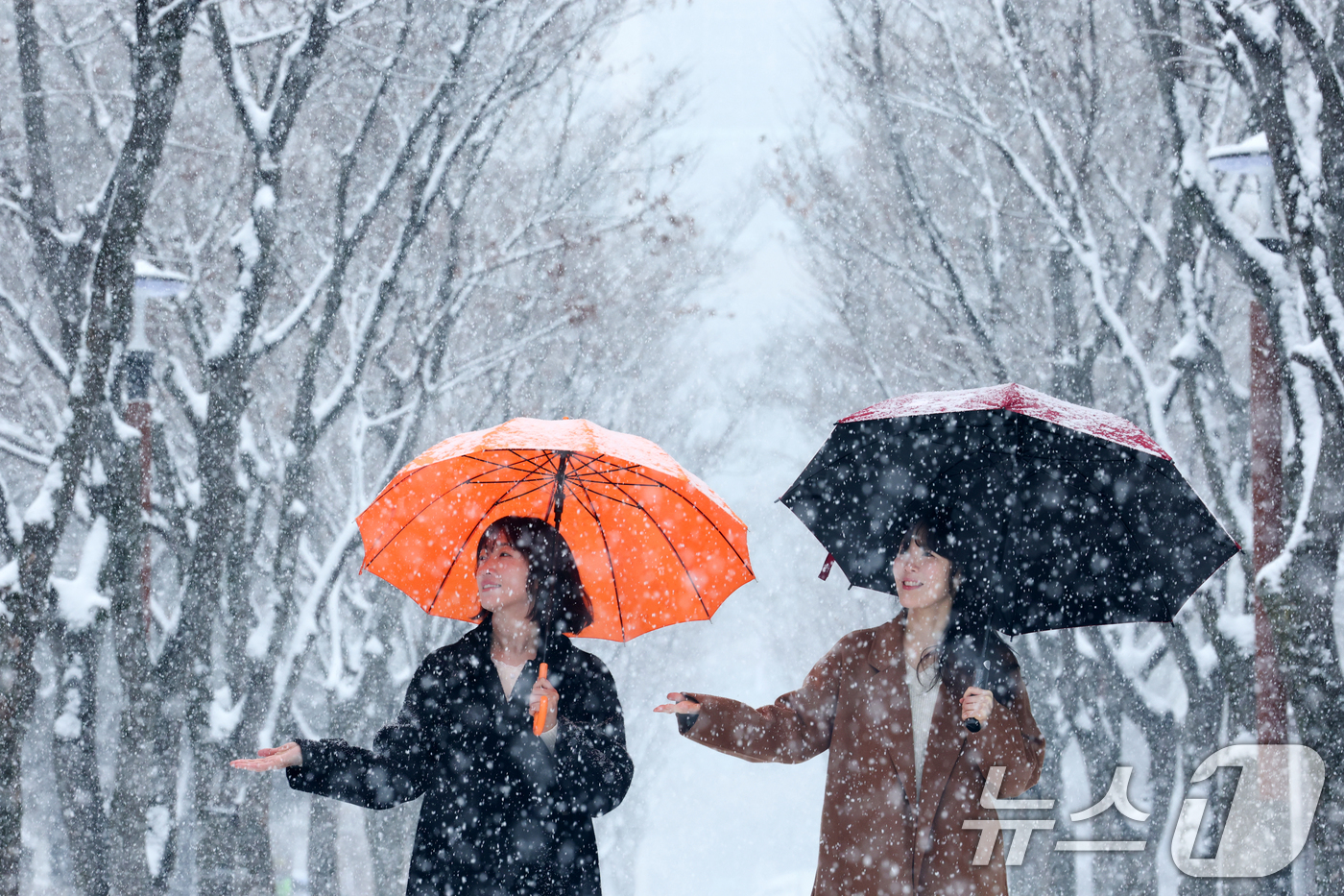 (대전=뉴스1) 김기태 기자 = 대전과 충청지역 곳곳에 대설주의보가 발효된 24일 오전 대전 서구 보라매공원에서 시민들이 우산을 쓰고 지나고 있다.  2026.2.24/뉴스1