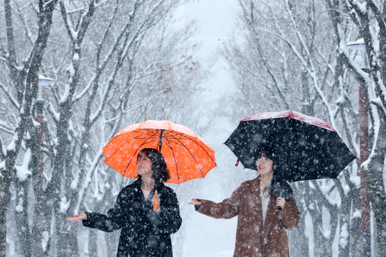 봄 시샘하는 함박눈