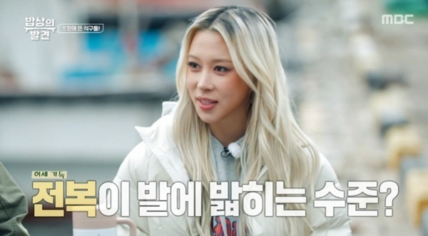 '제주 출신' 다영 "이모들 모두 해녀…전복 밟고 지나다녀" [RE:TV]