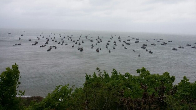 서해 NLL '단속 무풍지대'…中 '쌍끌이'에 씨마르는 연평 꽃게 황금어장