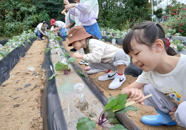 증평 '정안농촌체험휴양마을' 아이·어른 함께 배운다