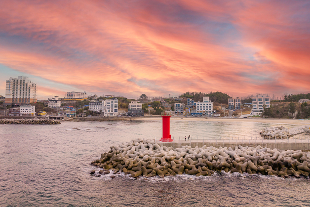 도깨비·더 글로리·BTS와 강릉 연결고리는?