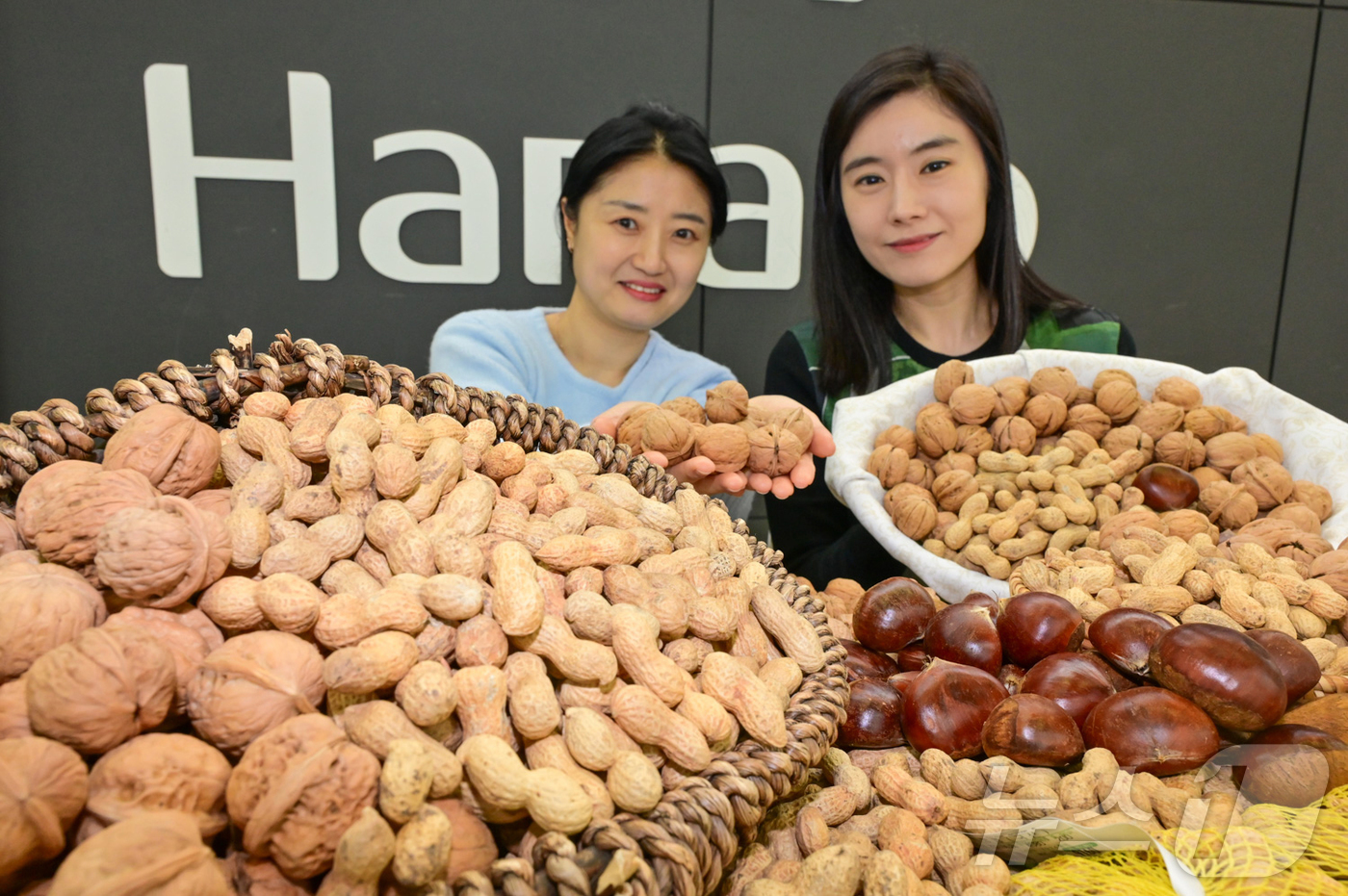 (서울=뉴스1) = 농식품 전문 매장 농협 하나로마트를 운영하는 농협유통은 정월대보름을 맞아 오는 26일부터 3월 4일까지 피호두 부럼 세트 등을 할인 판매한다고 25일 밝혔다. …