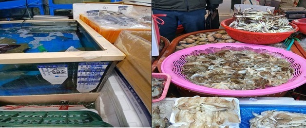 수입 수산물 국산 둔갑·원산지 오기재…인천 불법업체 16곳 적발