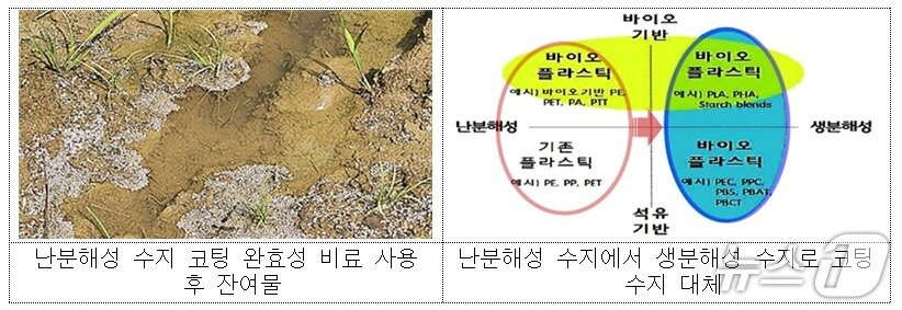 본문 이미지 - (농촌진흥청 제공)