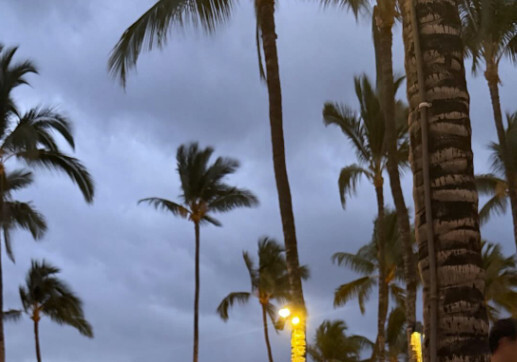 김주희, 45세에도 명품 비키니 몸매…미코 진 다운 자기관리 [N샷]