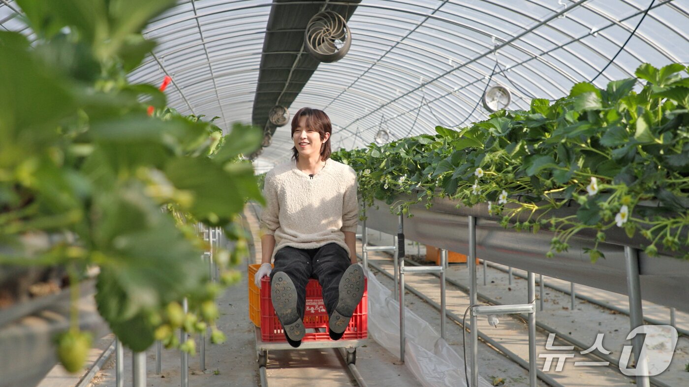 본문 이미지 - 북 임실군의 공식 유튜브 채널인 임실엔TV에 올해부터 MZ세대 대세인 이유진 배우가 전격 출연해 새로운 형태의 신규콘텐츠를 선보인다.(임실군제공, 재판매 및 DB금지)2026.2.25/뉴스1