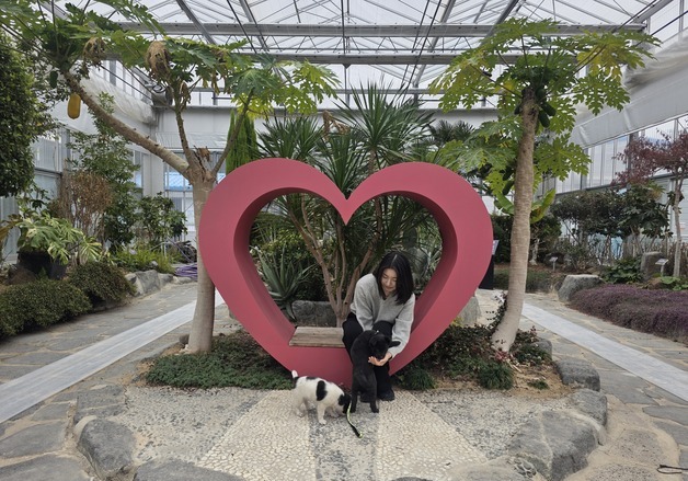 사천시, 유기 동물 입양·장려금·보험료·장례비 등 최대 55만원 지원