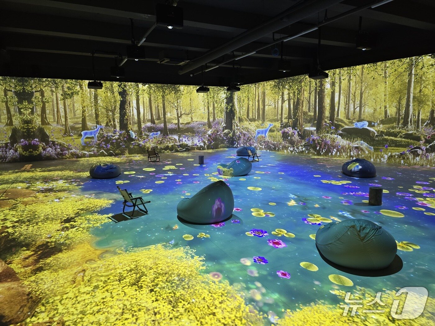 본문 이미지 - 강릉 미디어아트 기반 문화시설 온빛포레스트 내부.(강릉시 제공, 재판매 및 DB 금지) 2026.2.25/뉴스1