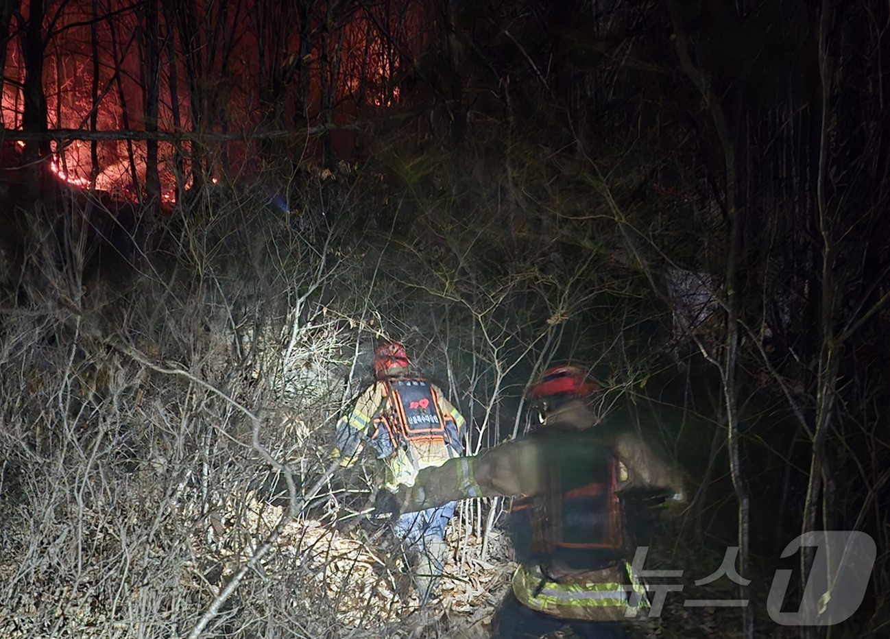 (영주=뉴스1) 남승렬 기자 = 25일 오후 7시31분쯤 경북 영주시 안정면 용산리 한 야산에 공군 F-16C 전투기가 야간 훈련 중 추락했다. 조종사는 탈출해 인명피해는 발생하지 …