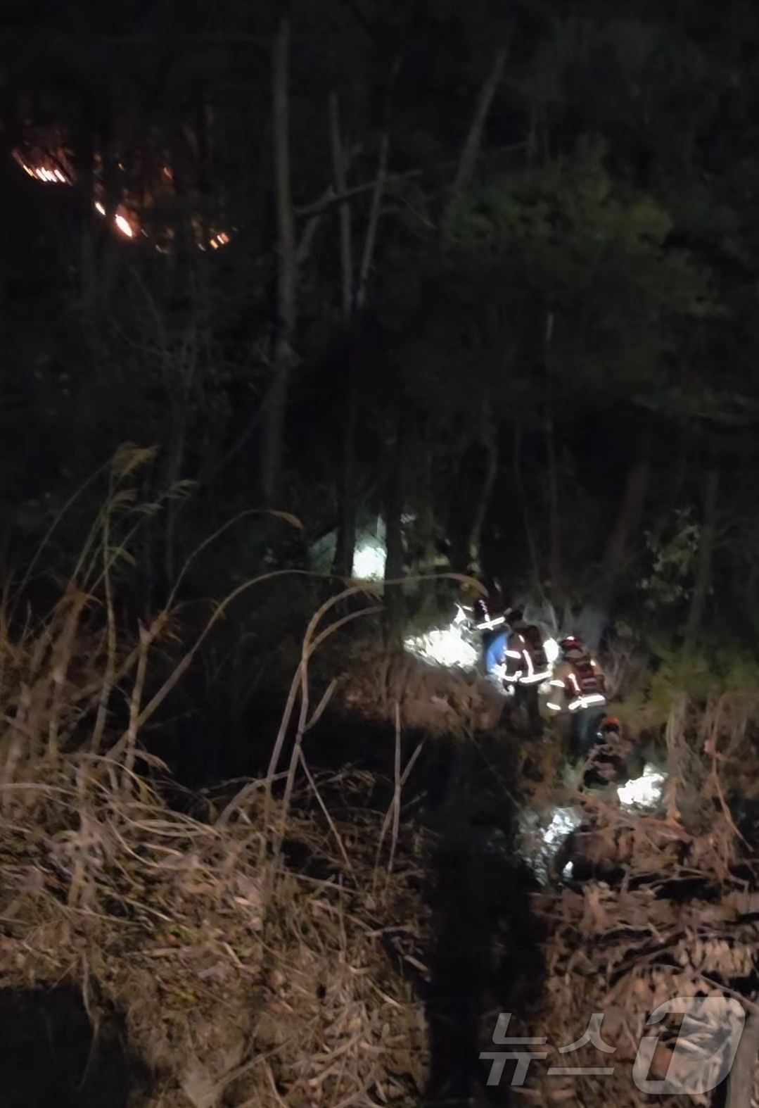 (영주=뉴스1) 남승렬 기자 = 25일 오후 7시31분쯤 경북 영주시 안정면 용산리 한 야산에 공군 F-16C 전투기가 야간 훈련 중 추락했다. 조종사는 탈출해 인명피해는 발생하지 …