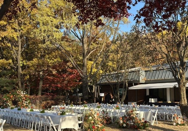 '더 아름다운 결혼식' 예약 500건 돌파…서울시, 지원 확대