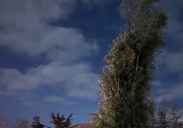 "달집 태우며 액운 날려요"…군산 회현들판서 28일 정월대보름 축제