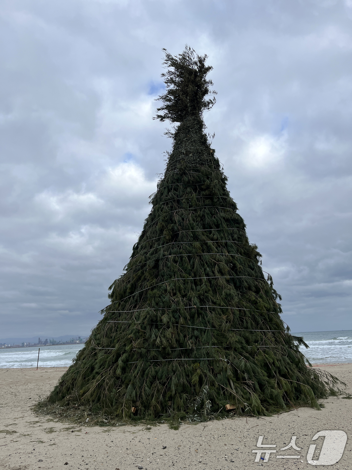 (포항=뉴스1) 최창호 기자 = 26일 경북 포항시 남구 동해면 도구해수욕장 백사장에 다음달 3일 사용할 달집이 세워져 있다. 2026.2.26/뉴스1