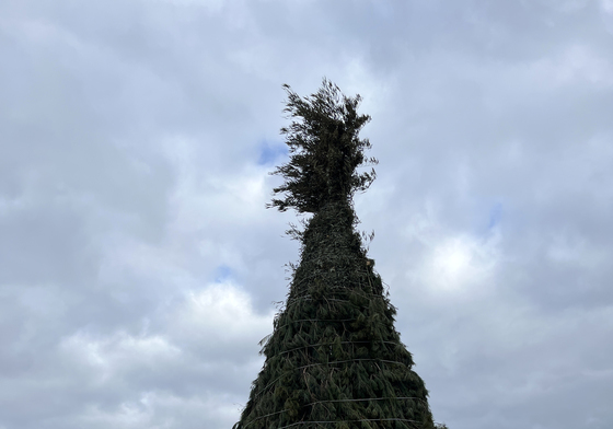 정월대보름 달집