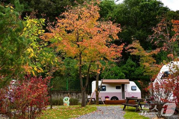 '소멸위기지역 상생' 청량산 수원캠핑장 4월 개장…내달부터 예약