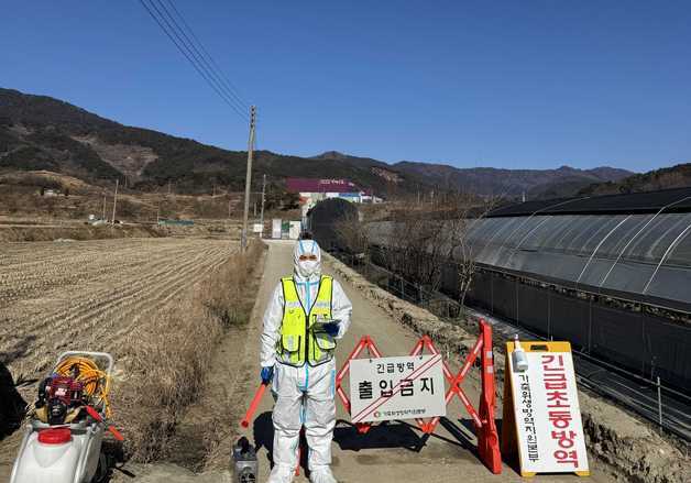 오리 9000마리 키우는 구례 농장서 조류인플루엔자 항원 검출