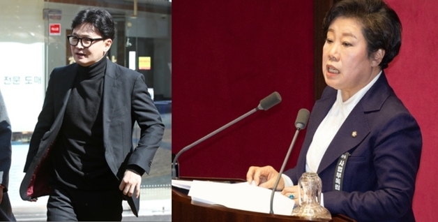 나경원, 한동훈 겨냥 "당은 근조리본 달고 필버, 누군 나홀로 세 과시…통탄"