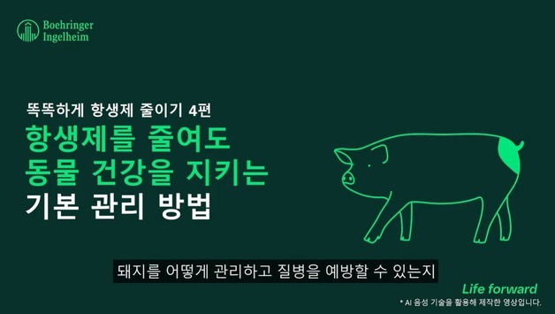 돼지질병 줄이려면…베링거인겔하임동물약품, 3월25일 PRRS 포럼