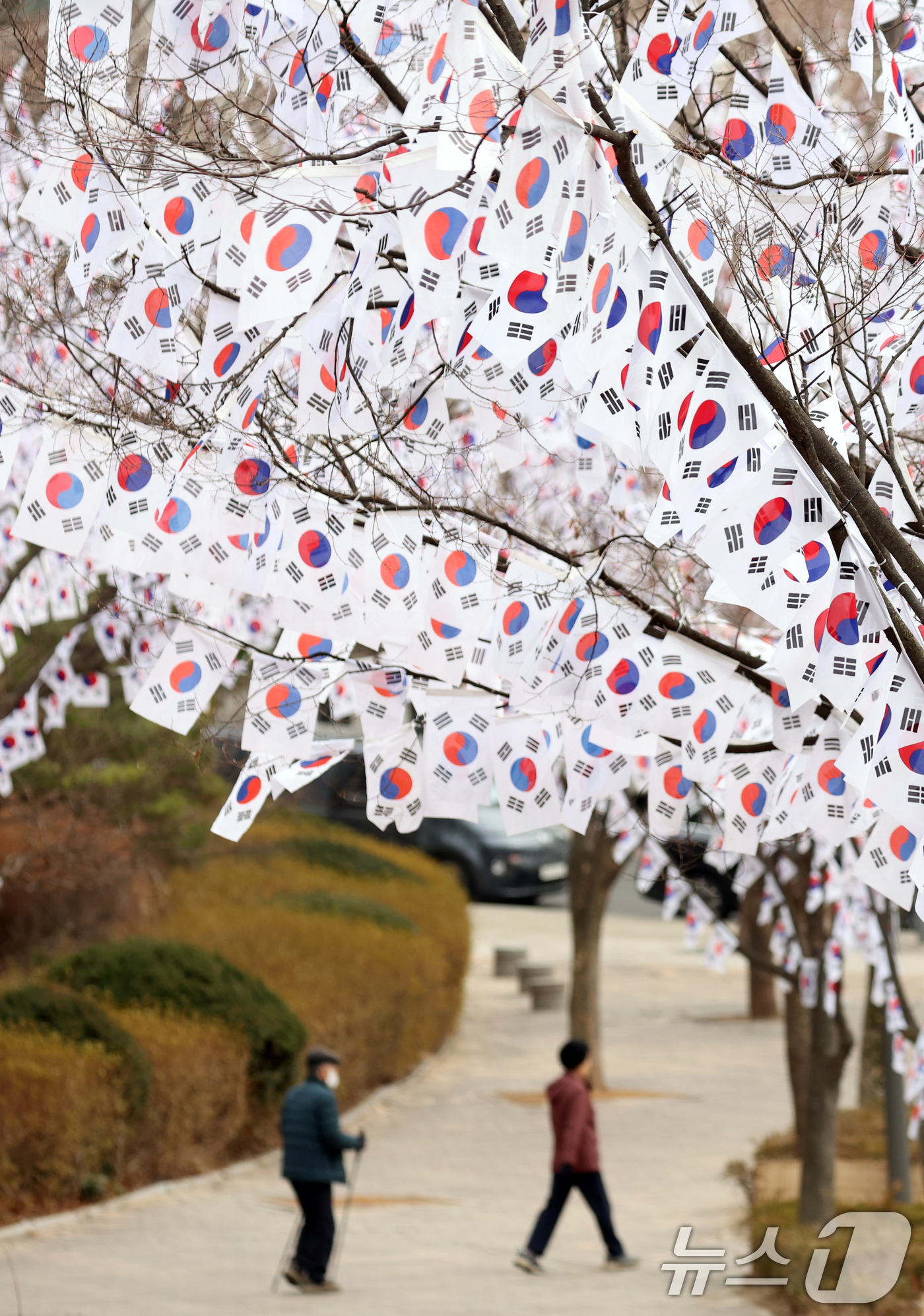 (서울=뉴스1) 김명섭 기자 = 26일 서울 용산구 효창공원 앞 가로수에 3.1절을 앞두고 태극기가 꾸며져 있어 눈길을 끌고 있다. 효창공원에는 김구, 윤봉길, 이봉창 등 독립유공 …