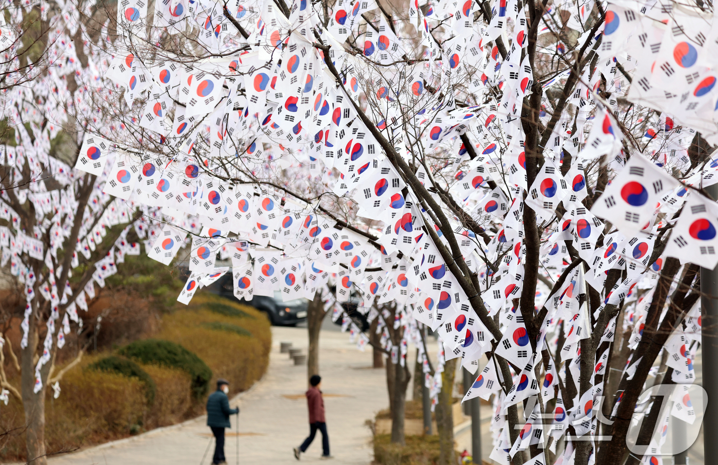 (서울=뉴스1) 김명섭 기자 = 26일 서울 용산구 효창공원 앞 가로수에 3.1절을 앞두고 태극기가 꾸며져 있어 눈길을 끌고 있다. 효창공원에는 김구, 윤봉길, 이봉창 등 독립유공 …