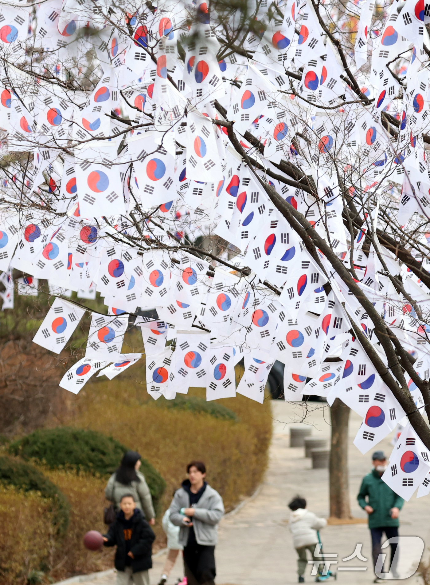 (서울=뉴스1) 김명섭 기자 = 26일 서울 용산구 효창공원 앞 가로수에 3.1절을 앞두고 태극기가 꾸며져 있어 눈길을 끌고 있다. 효창공원에는 김구, 윤봉길, 이봉창 등 독립유공 …