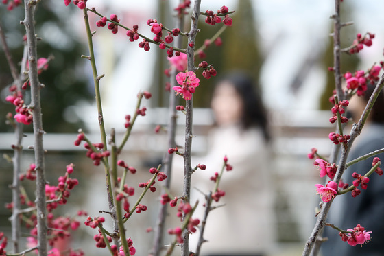 [오늘의 날씨]대구·경북(28일,토)…일교차 15도 안팎, 낮 10~16도