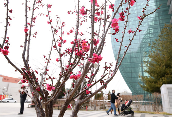[오늘의 날씨]대구·경북(27일,금)…오전까지 비, 낮 9~13도