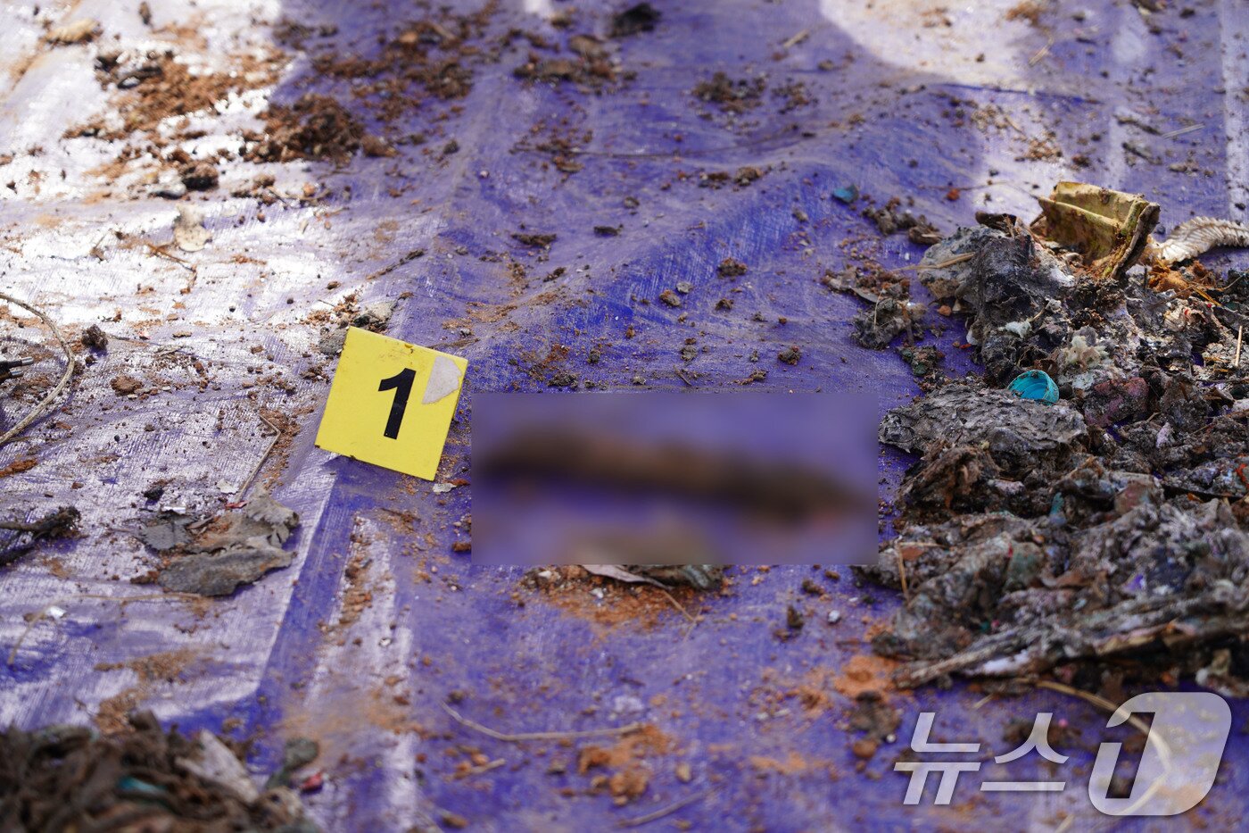 본문 이미지 - 26일 국토부 항공철도사고조사위원회와 전남경찰청 등이 합동으로 진행한 제주항공 사고기 기체잔해물 재분류작업에서 인골 추정 유해가 발견된 모습.(유가족협의회 제공. 재판매 및 DB 금지) 2026.2.26 ⓒ 뉴스1 박지현 기자