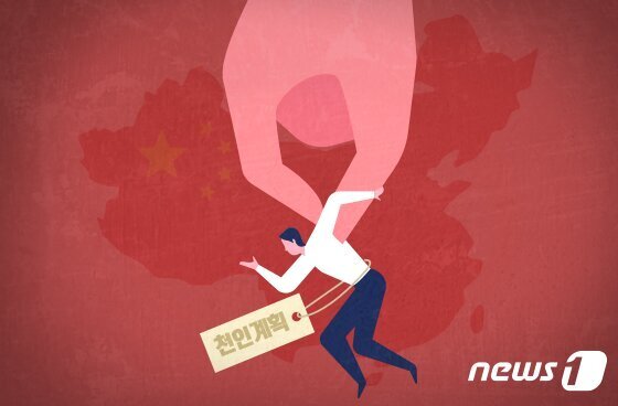 본문 이미지 - /뉴스1 최수아 디자이너