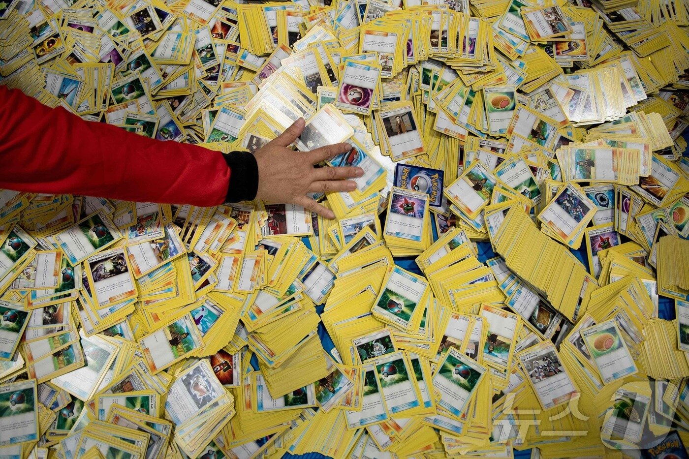 본문 이미지 - 2019년 8월 16일 미국 워싱턴 DC의 워싱턴 컨벤션 센터에서 열린 '2019 포켓몬 월드 챔피언십' 첫날, 초보자 클리닉을 위해 포켓몬 카드들이 분류되어 있다. 2019.08.16. ⓒ AFP=뉴스1