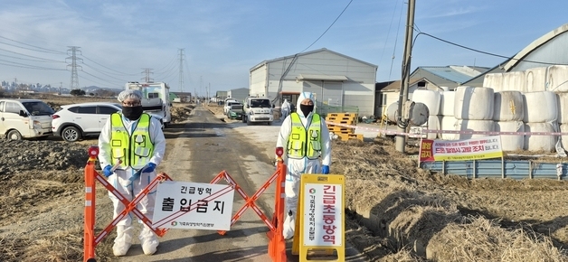 고양시 한우 농가에 또 구제역 발생…19일에 이어 두 번째