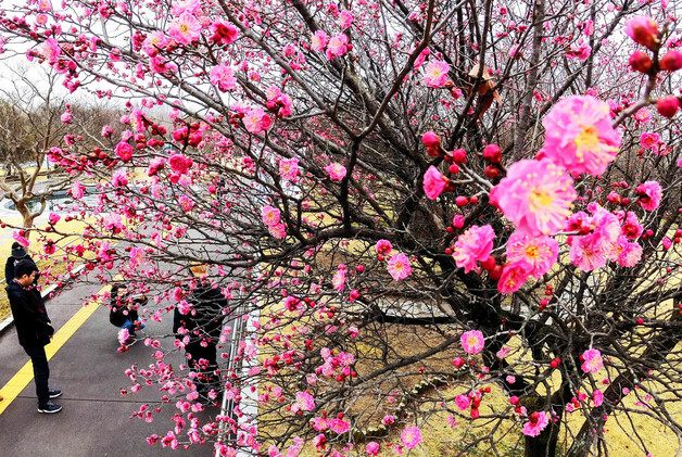 [오늘의 날씨] 광주·전남(28일, 토)…맑고 일교차 커