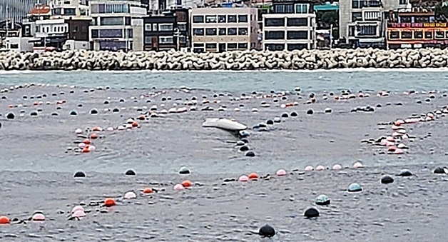 청사포 동쪽 해상서 카약 표류… 50대 탑승자 구조